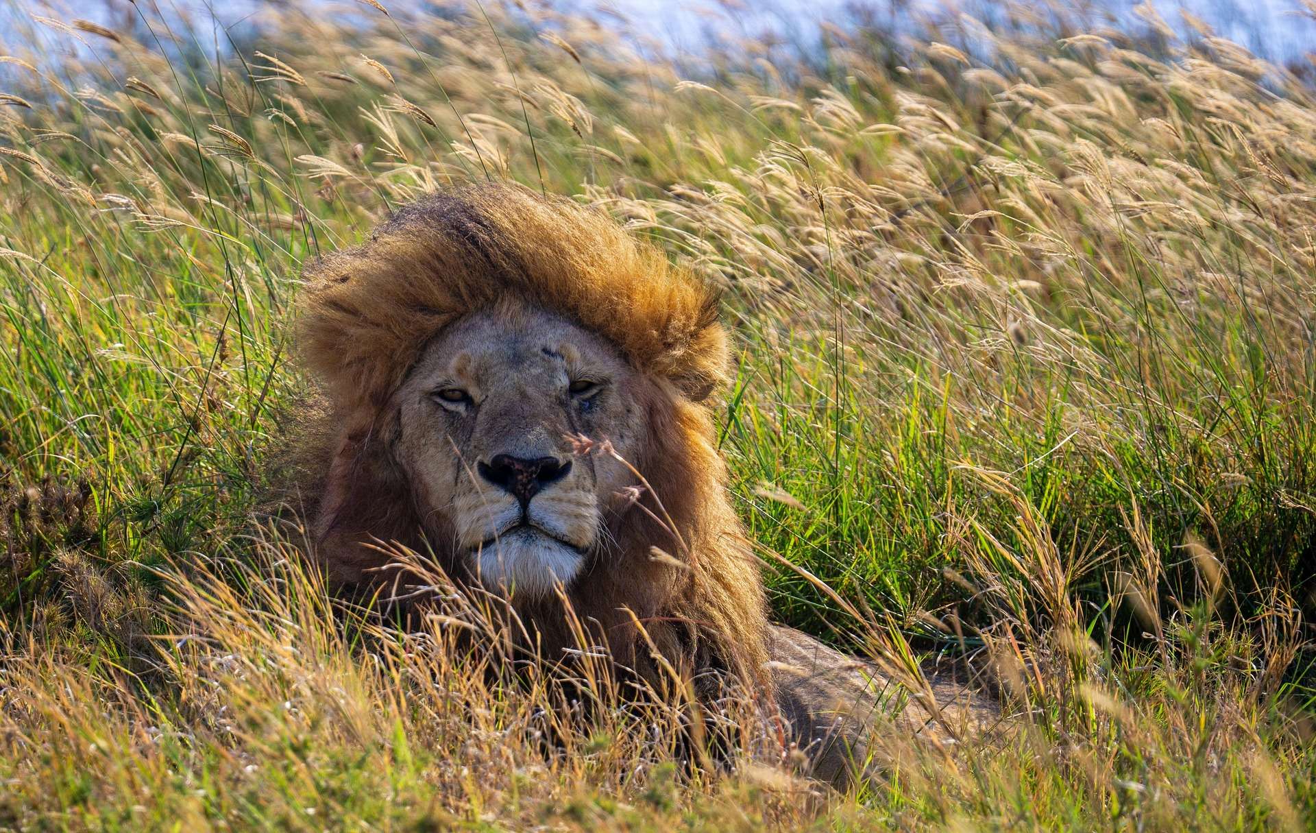 Serengeti National Park