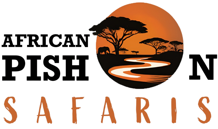 African Pishon Safaris Logo
