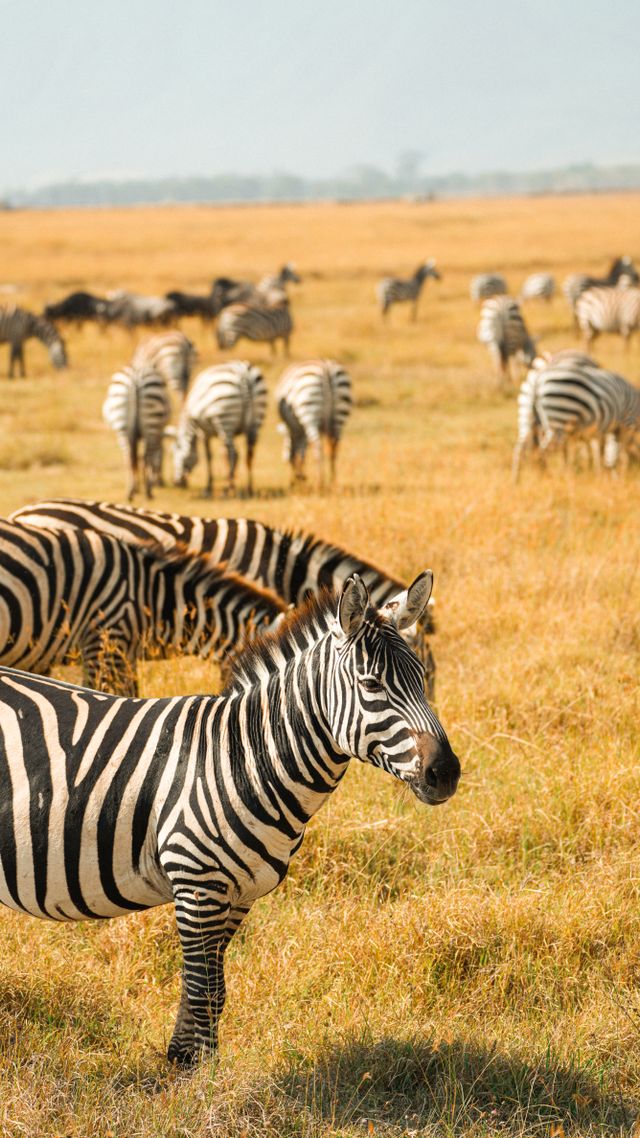 African Pishon Safaris, locally owned