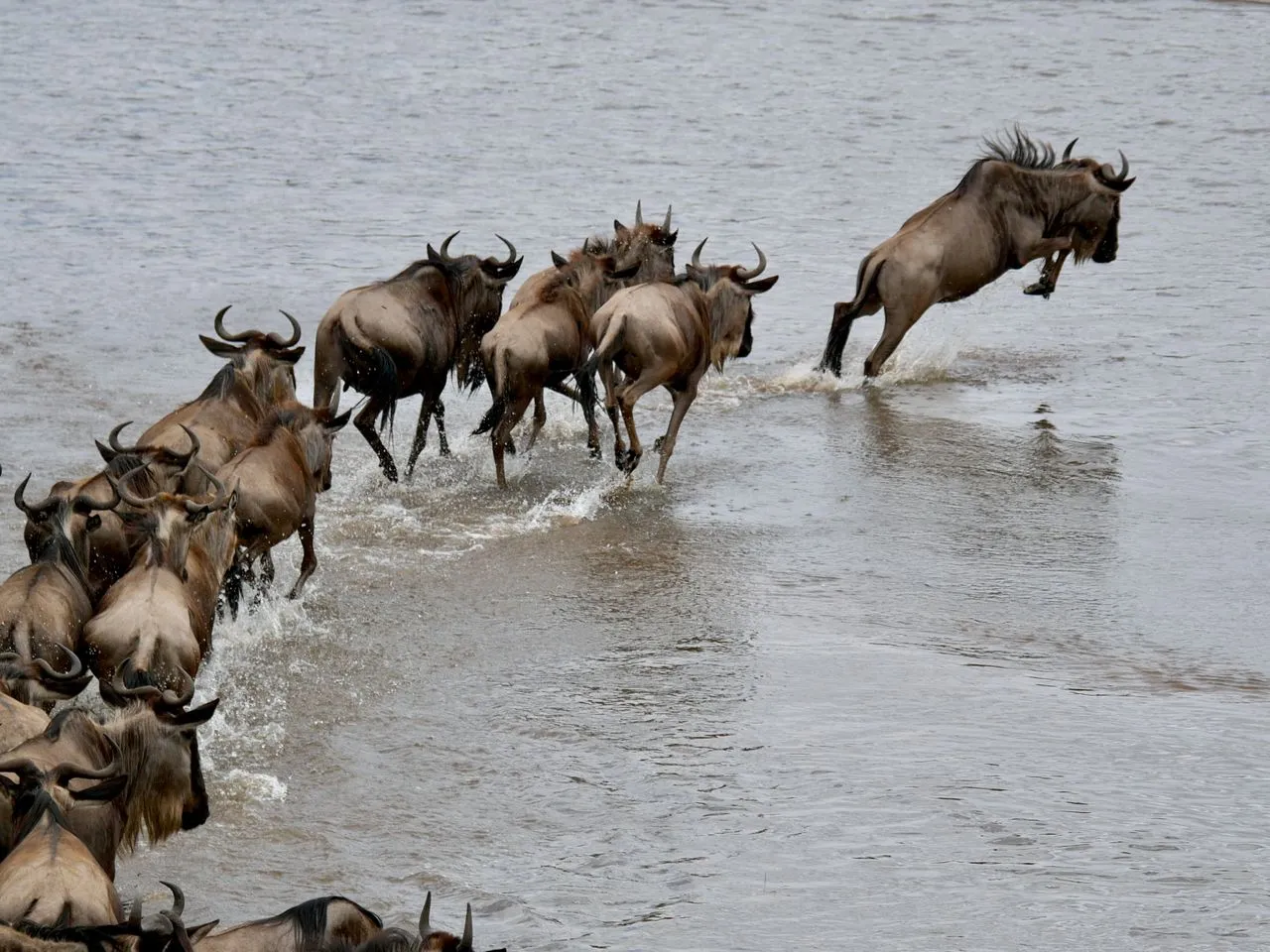 River crossing