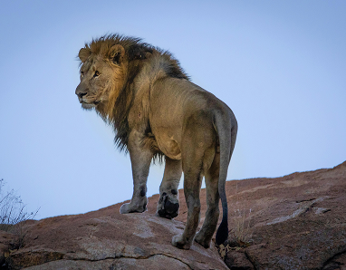 Serengeti National Park